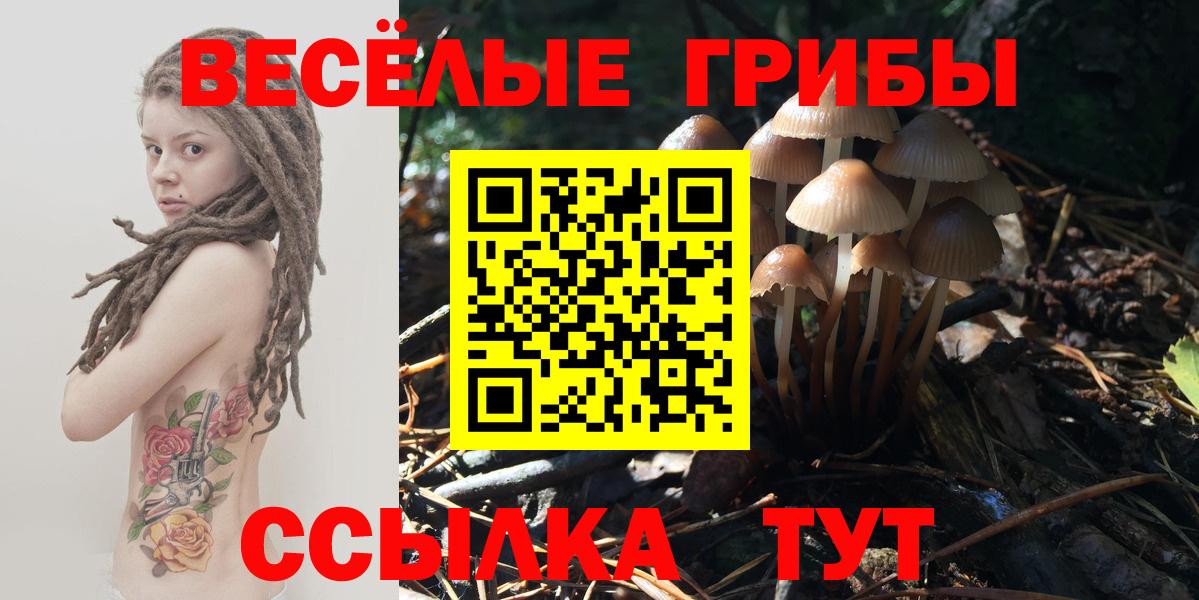 Псилоцибиновые грибы Magic Shrooms Новошахтинск